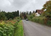 Gallerienbild #12